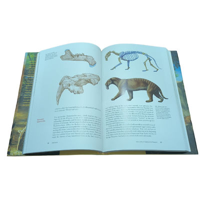Sabertooth Academic Textbook Printing Service 4C/4C Offset Printing On Glossy Art Paper With Matte Laminated Cover