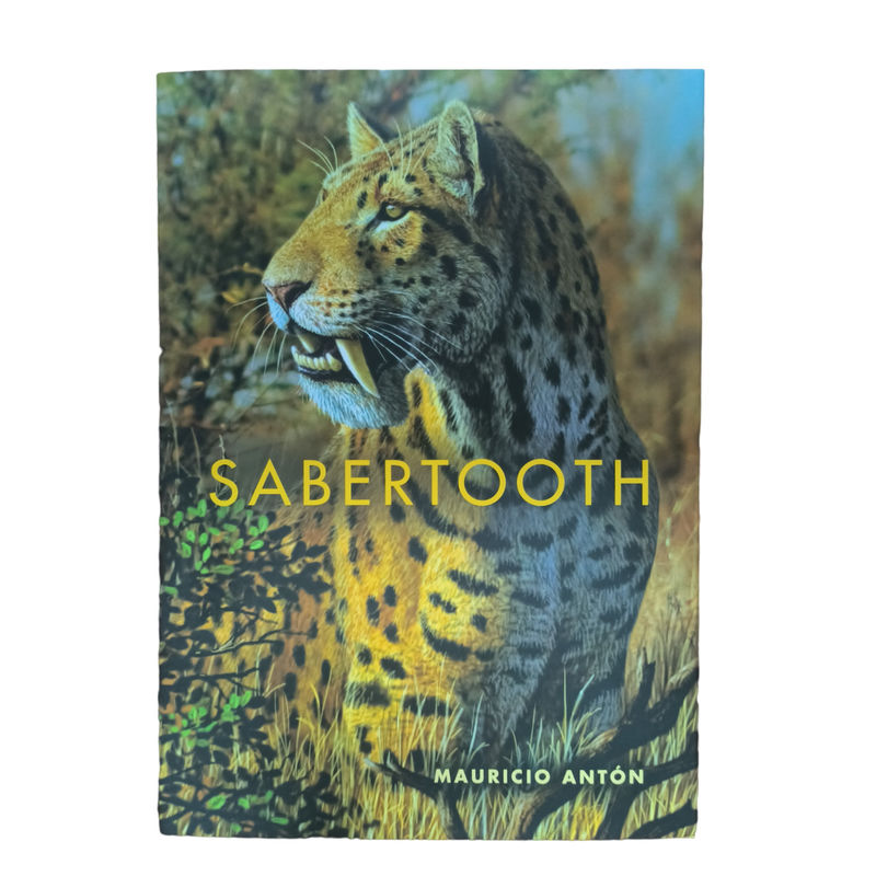 Sabertooth Academic Textbook Printing Service 4C/4C Offset Printing On Glossy Art Paper With Matte Laminated Cover